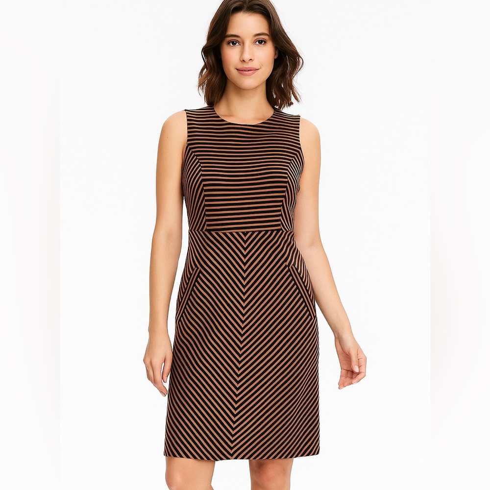 Lands’ End Black & Gold Striped Sleeveless A-line Dress, Size 6